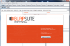Burp Suite Pro Loader&Keygen By surferxyzv1.7.31ԭ棩